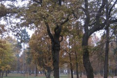 IMG_2050