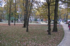 IMG_2056