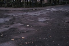 IMG_1985