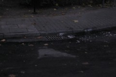 IMG_1989