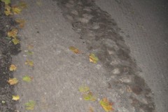 IMG_1991