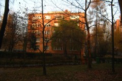 IMG_2236