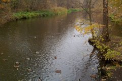 20111101776