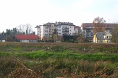 IMG_2216