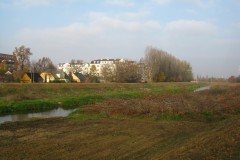 IMG_2219