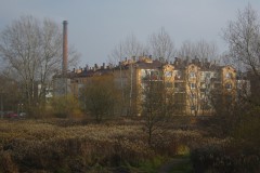 IMG_2203
