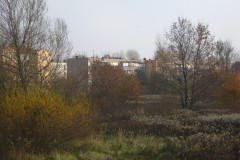 IMG_2204