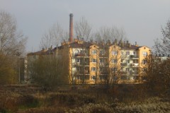 IMG_2206