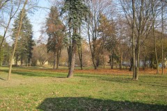 IMG_2090