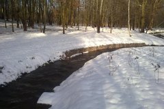 20120122856