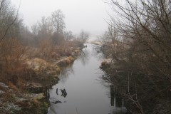 IMG_2634