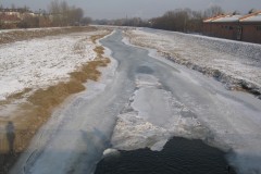 IMG_2698