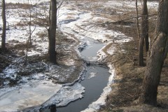 IMG_2701
