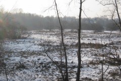 IMG_2702