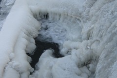 IMG_2712
