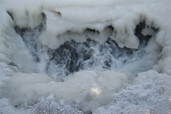 IMG_2715