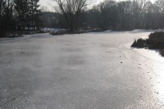 IMG_2716