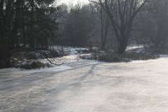 IMG_2720