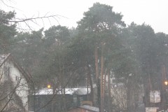 IMG_2737