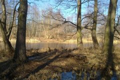 20120303955
