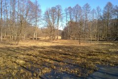 20120303960
