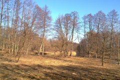 20120303961