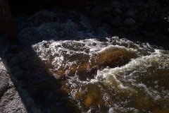 20120303968