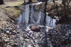 20120303969