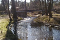 20120303972