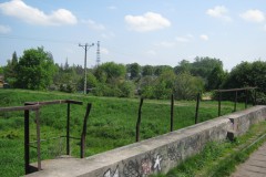 IMG_2849