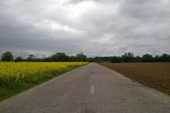 201205131226