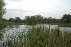 2012.06.20 Przepompownia