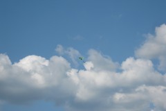 IMG_3419