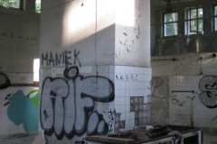 IMG_3395