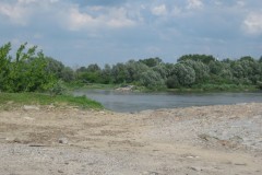 IMG_3331