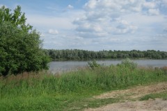 IMG_3333