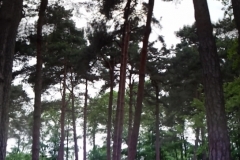2012-06-06-18.54.23