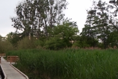 2012-06-06-19.04.00