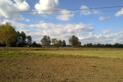 201209301272