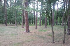 2012.09 Park Zdrojowy po rewitalizacji