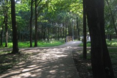 IMG_3549