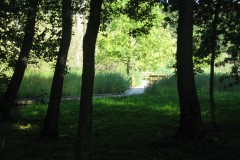 IMG_3550