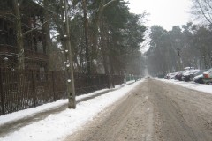 IMG_0099