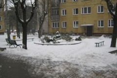 IMG_0102