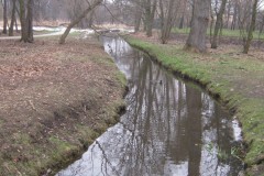 IMG_0110