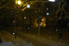 IMG_0208