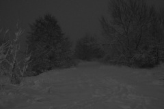 IMG_0233