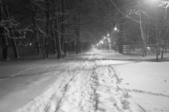 IMG_0307