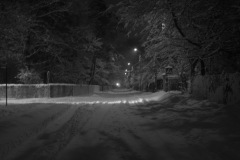 IMG_0312