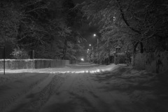 IMG_0313